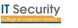 IT Security